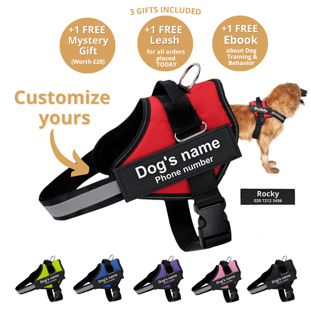 DoggyKings⢠Ultimate Personalized No Pull Dog Harness