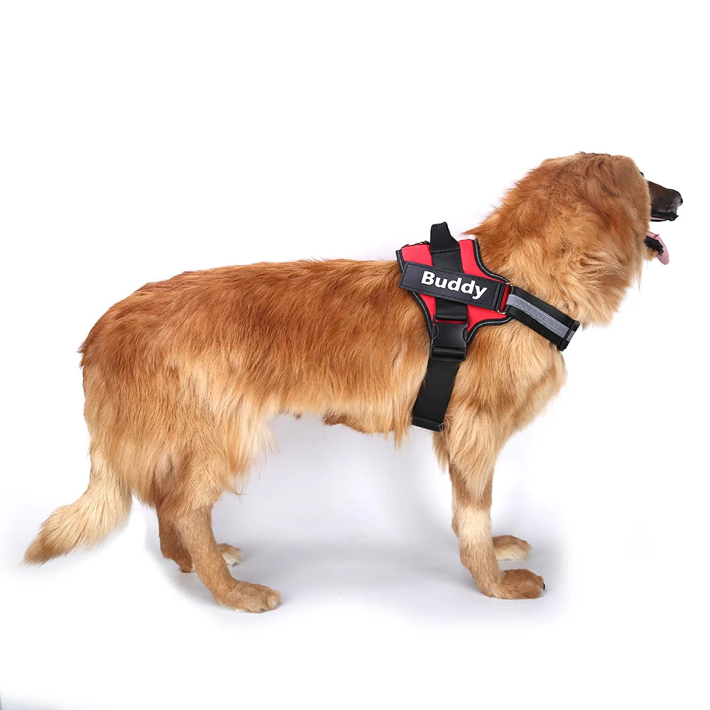 DoggyKings™ Ultimate Personalized No Pull Dog Harness - Image 2