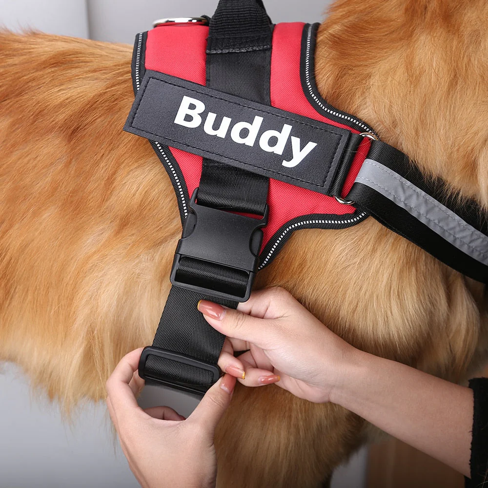 DoggyKings™ Ultimate Personalized No Pull Dog Harness - Image 3