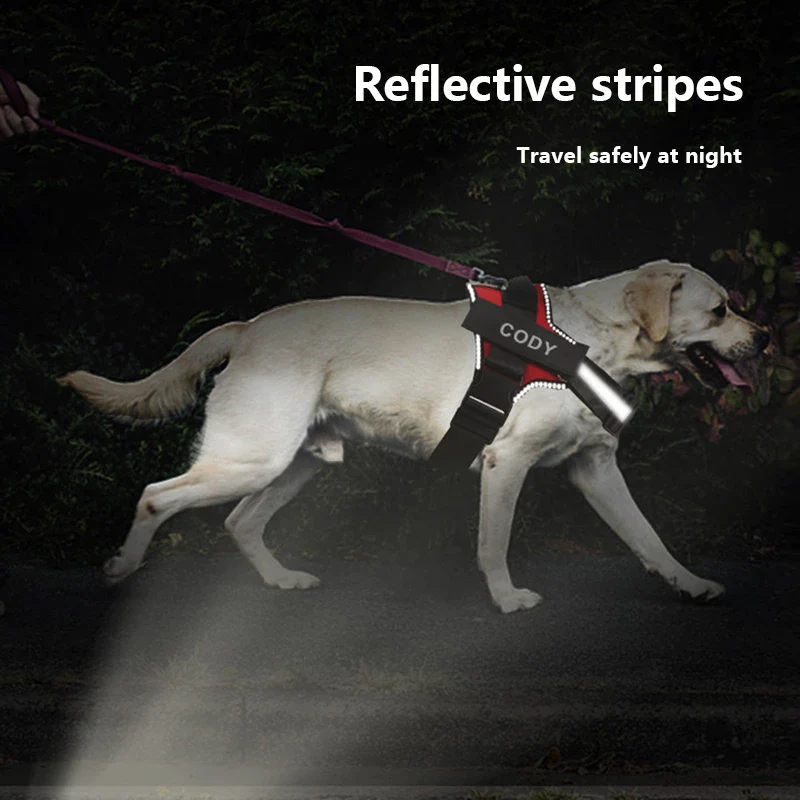 DoggyKings™ Ultimate Personalized No Pull Dog Harness - Image 4