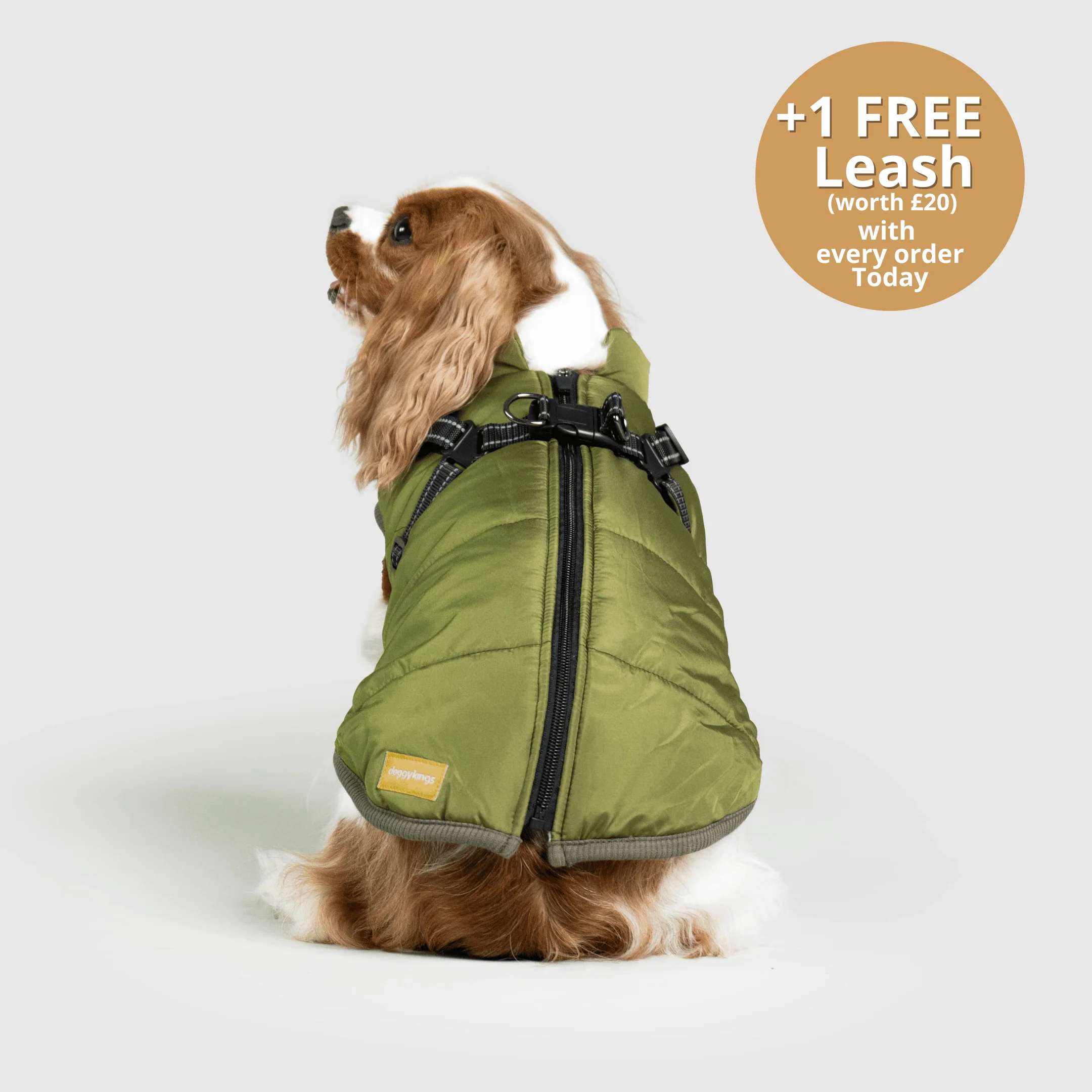 DoggyKings™ 3 in 1 Jacket - Image 10