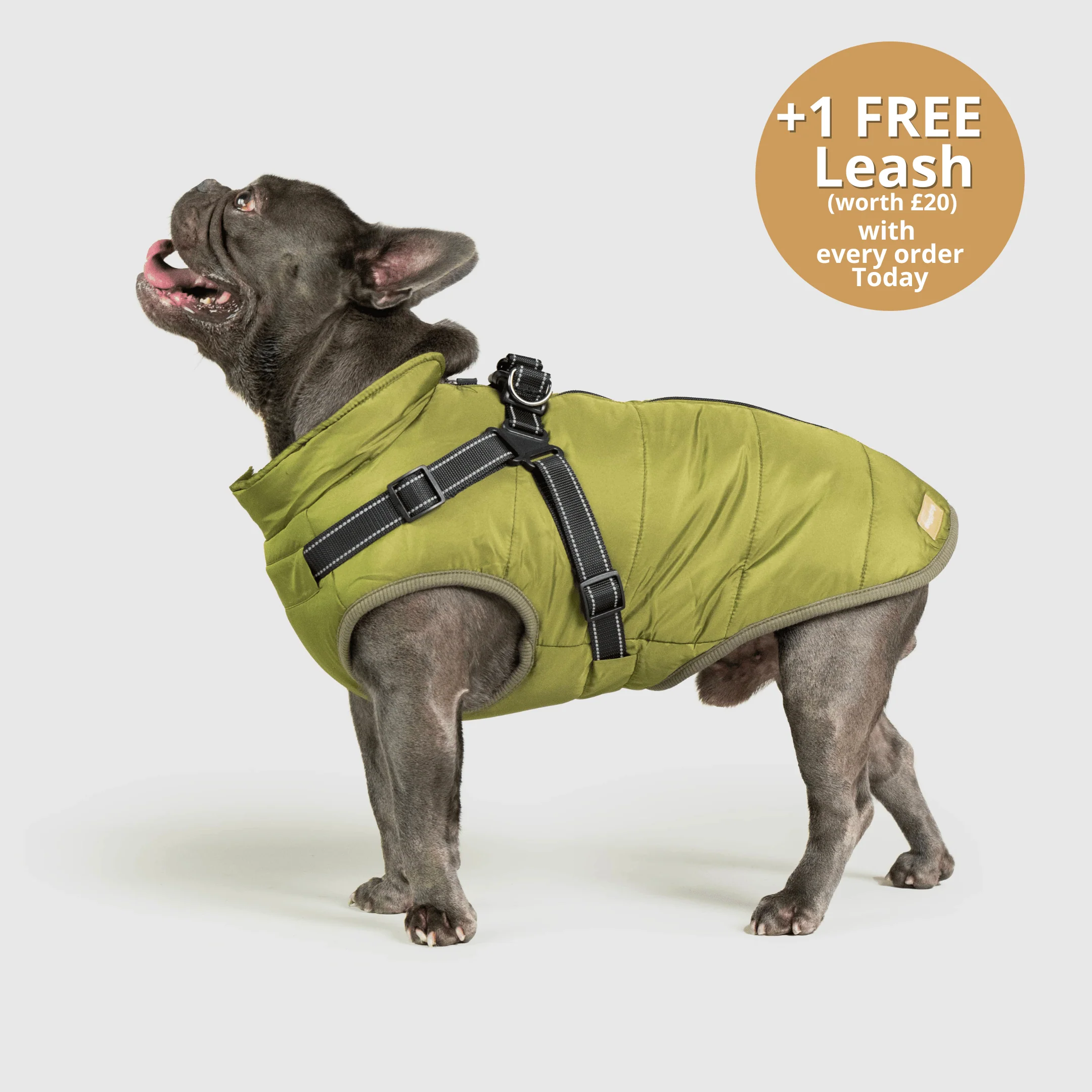 DoggyKings™ 3 in 1 Jacket - Image 11