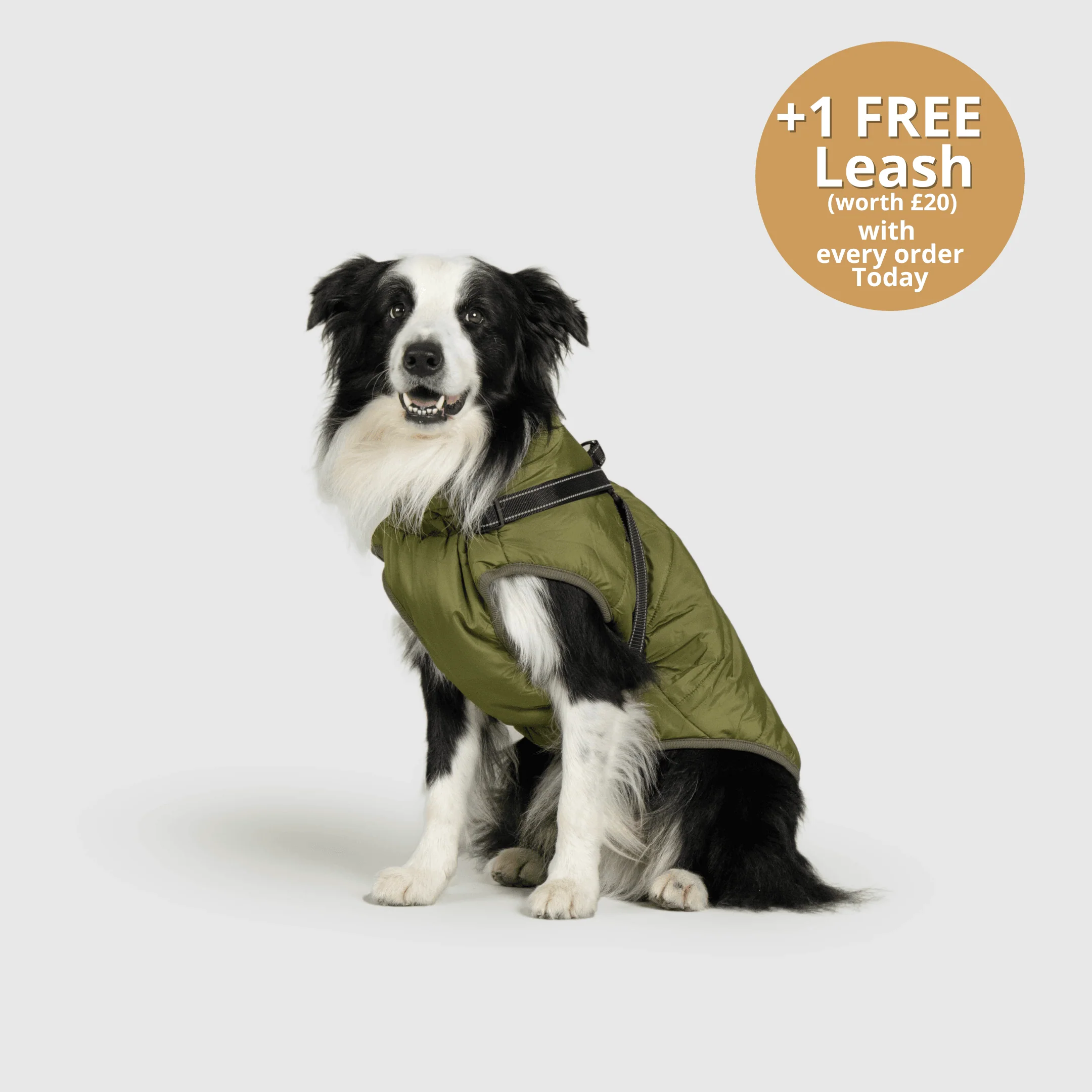 DoggyKings™ 3 in 1 Jacket - Image 12