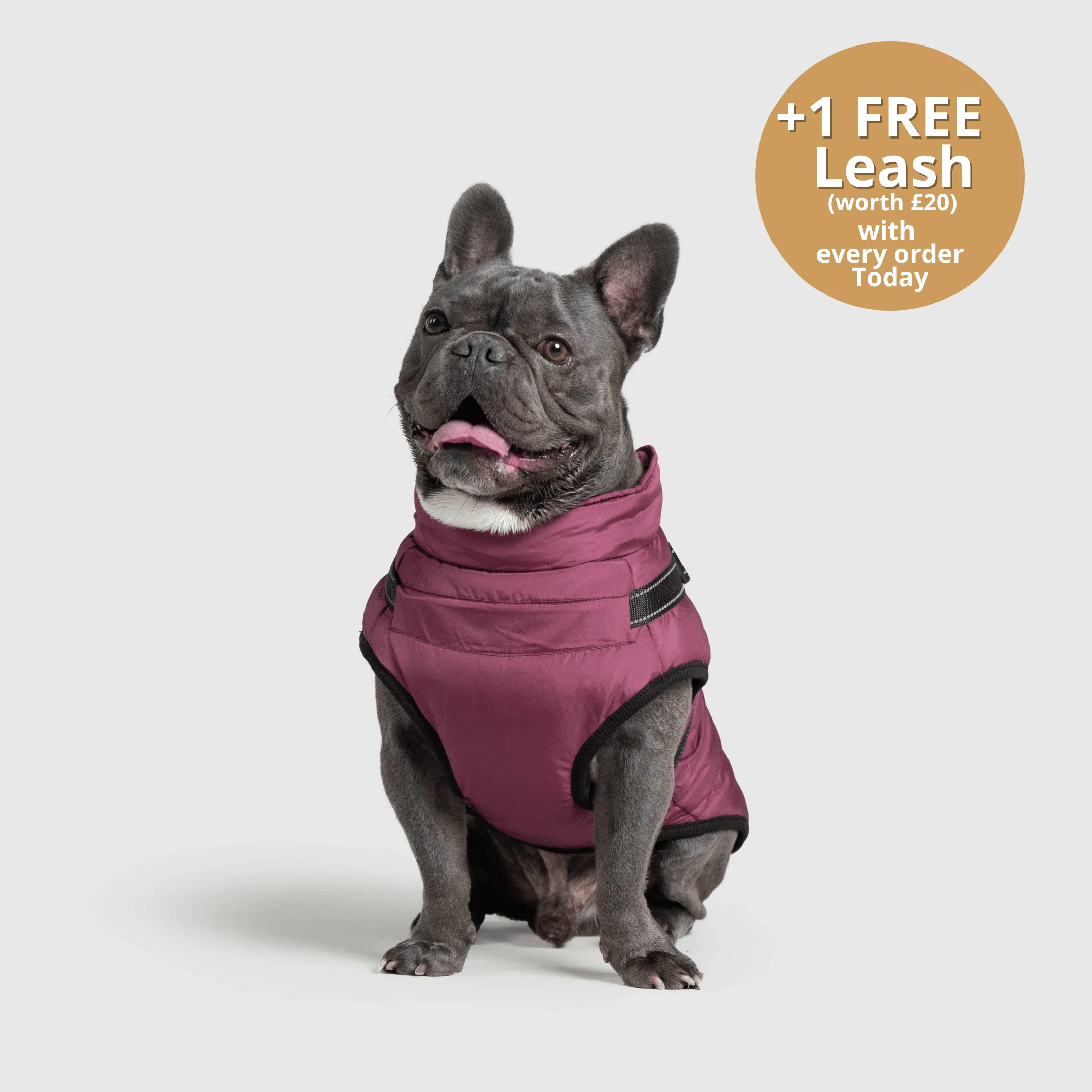DoggyKings™ 3 in 1 Jacket - Image 13
