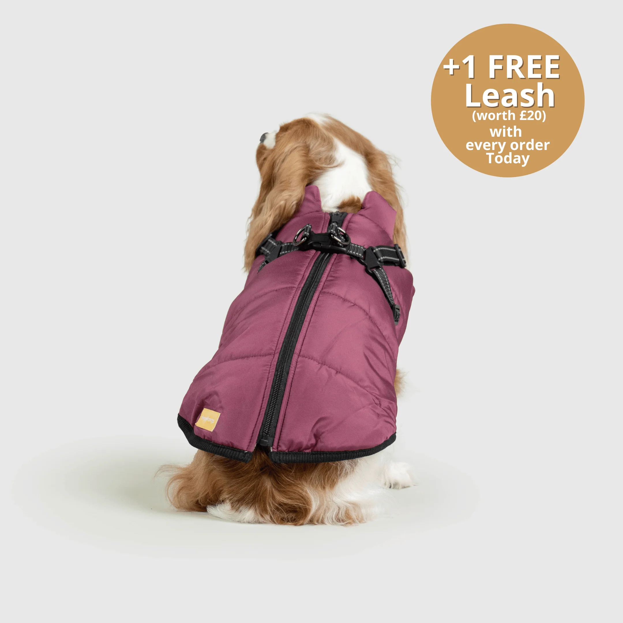 DoggyKings™ 3 in 1 Jacket - Image 14