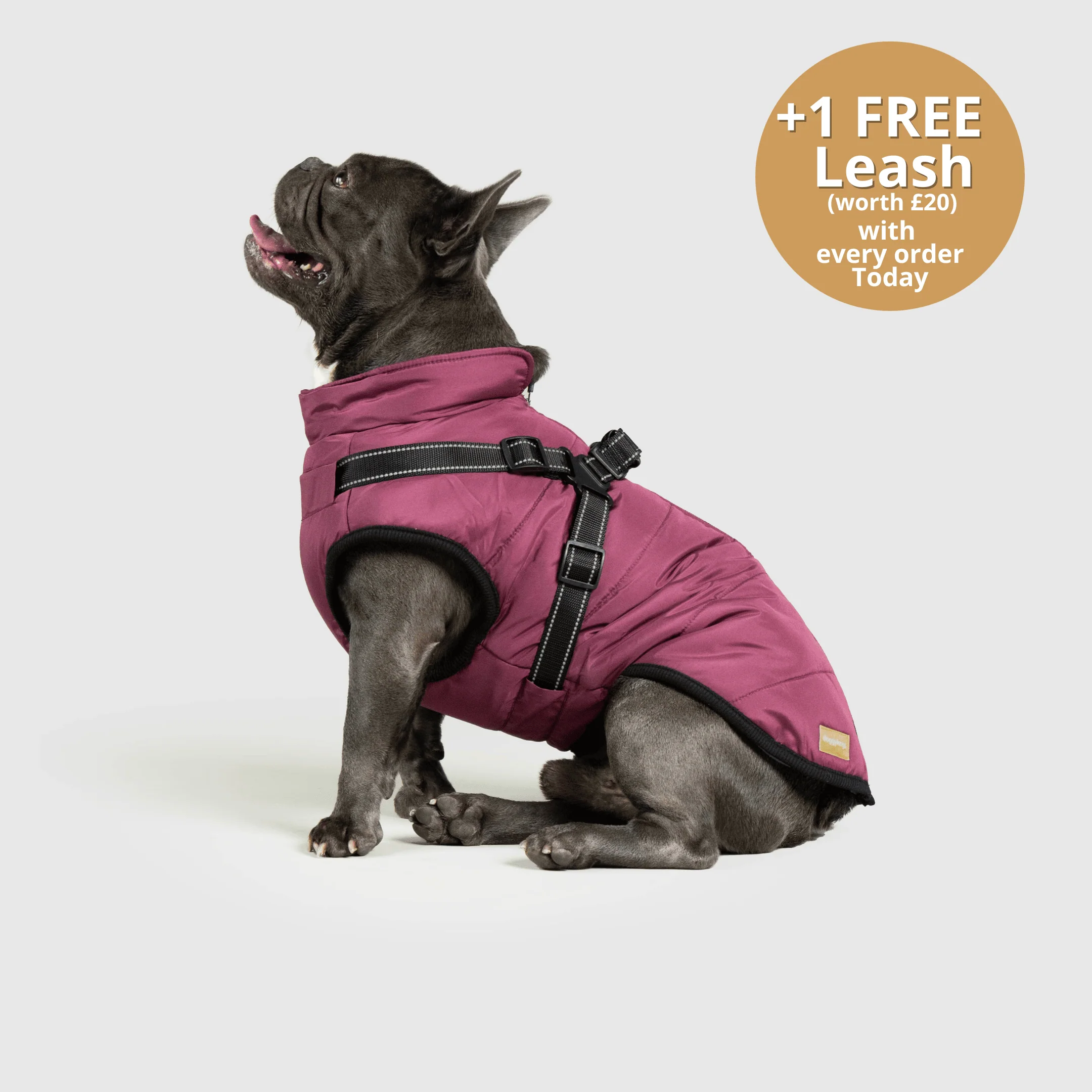 DoggyKings™ 3 in 1 Jacket - Image 15