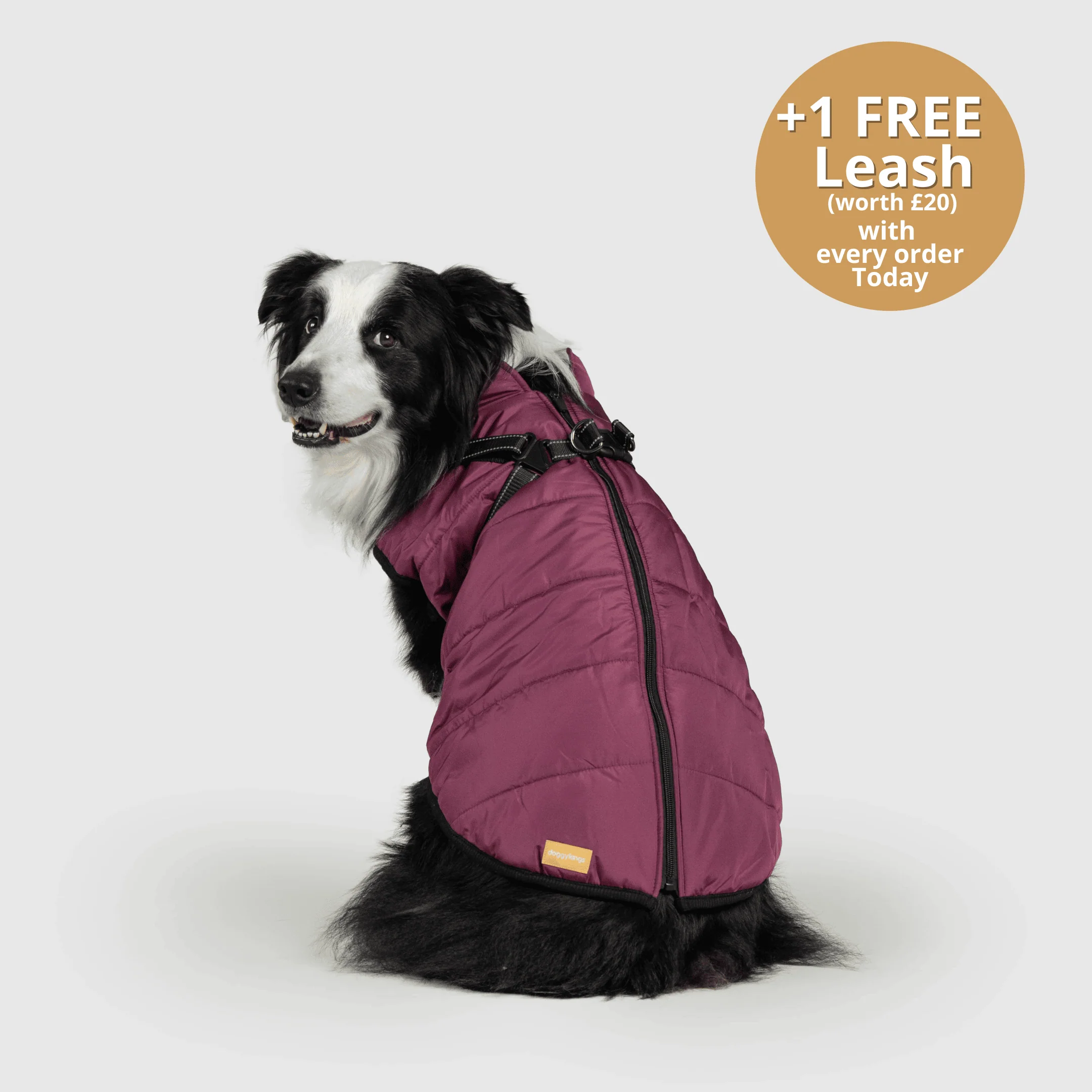 DoggyKings™ 3 in 1 Jacket - Image 16