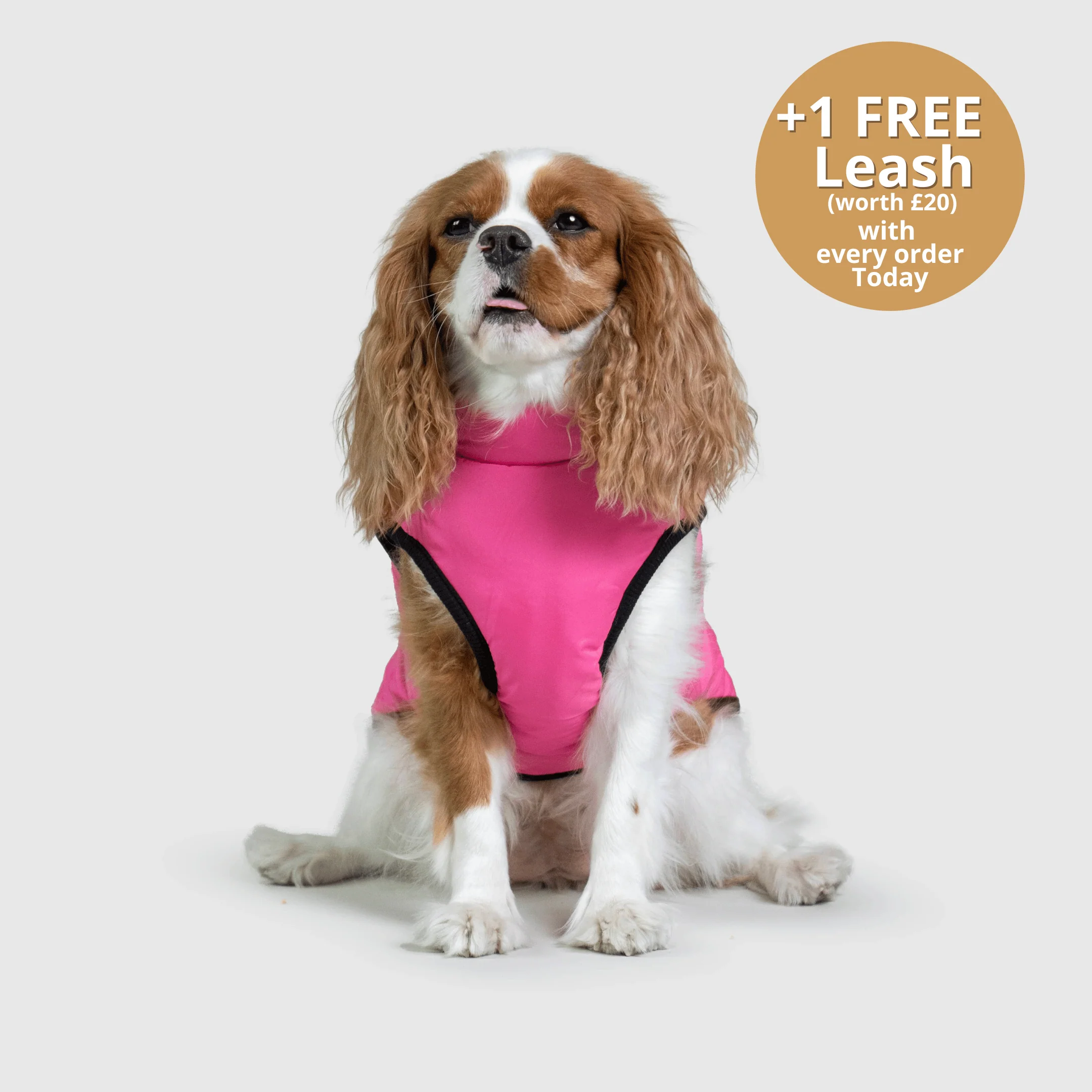 DoggyKings™ 3 in 1 Jacket - Image 17