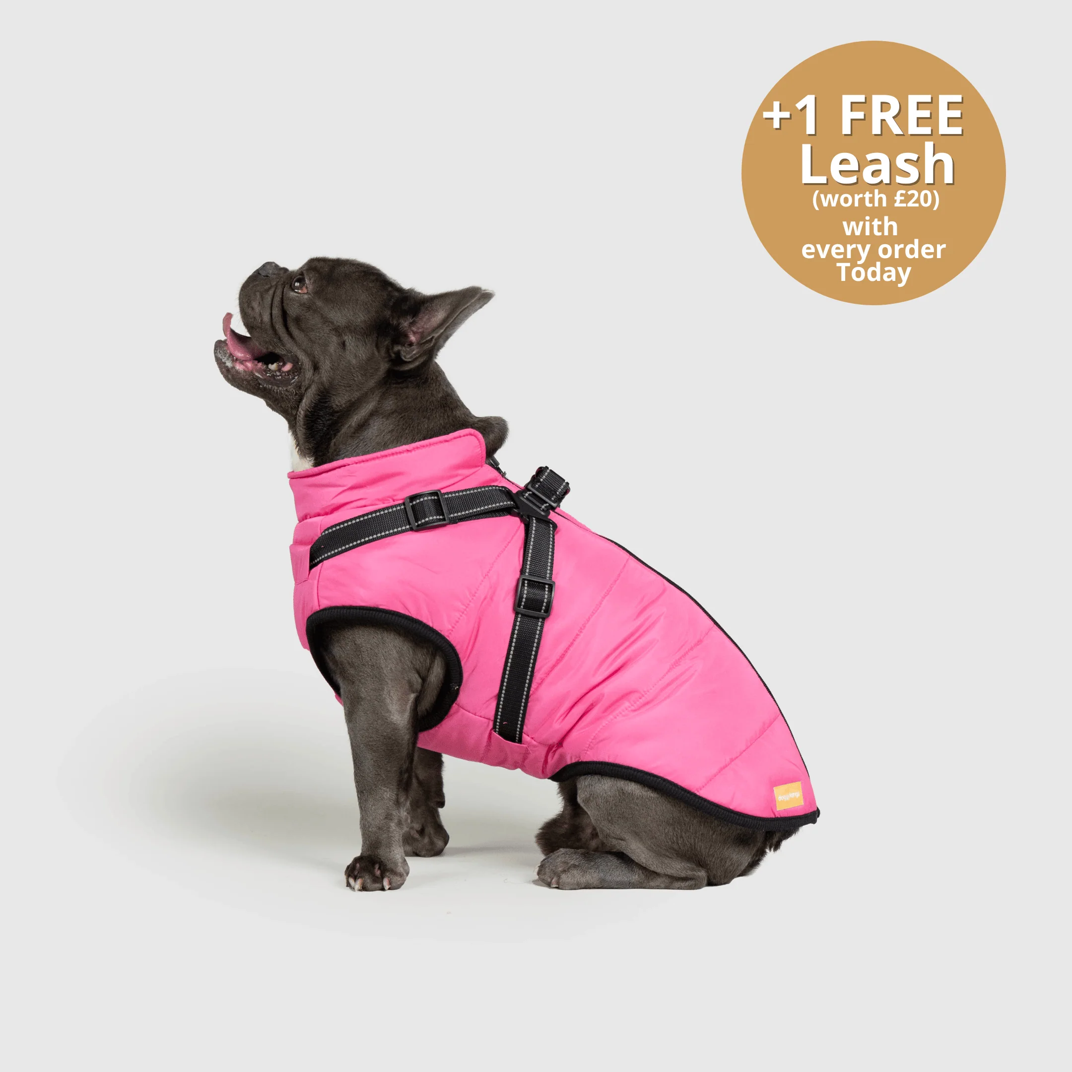 DoggyKings™ 3 in 1 Jacket - Image 18