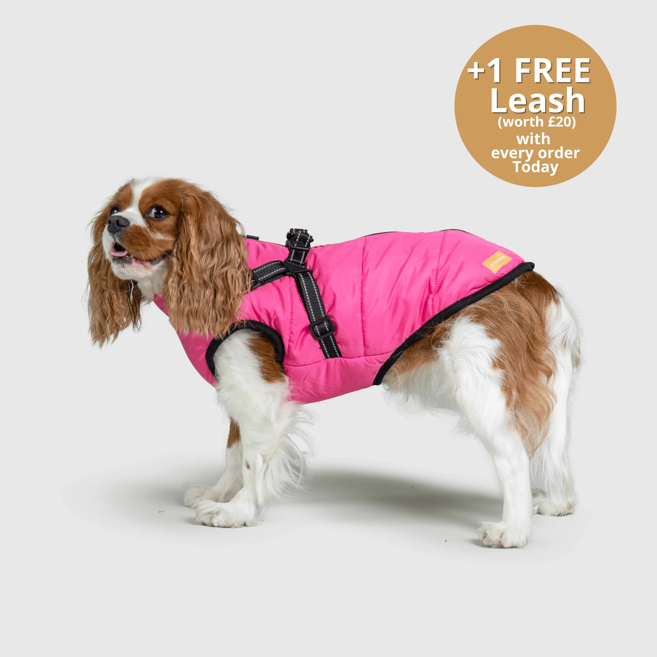 DoggyKings™ 3 in 1 Jacket - Image 19