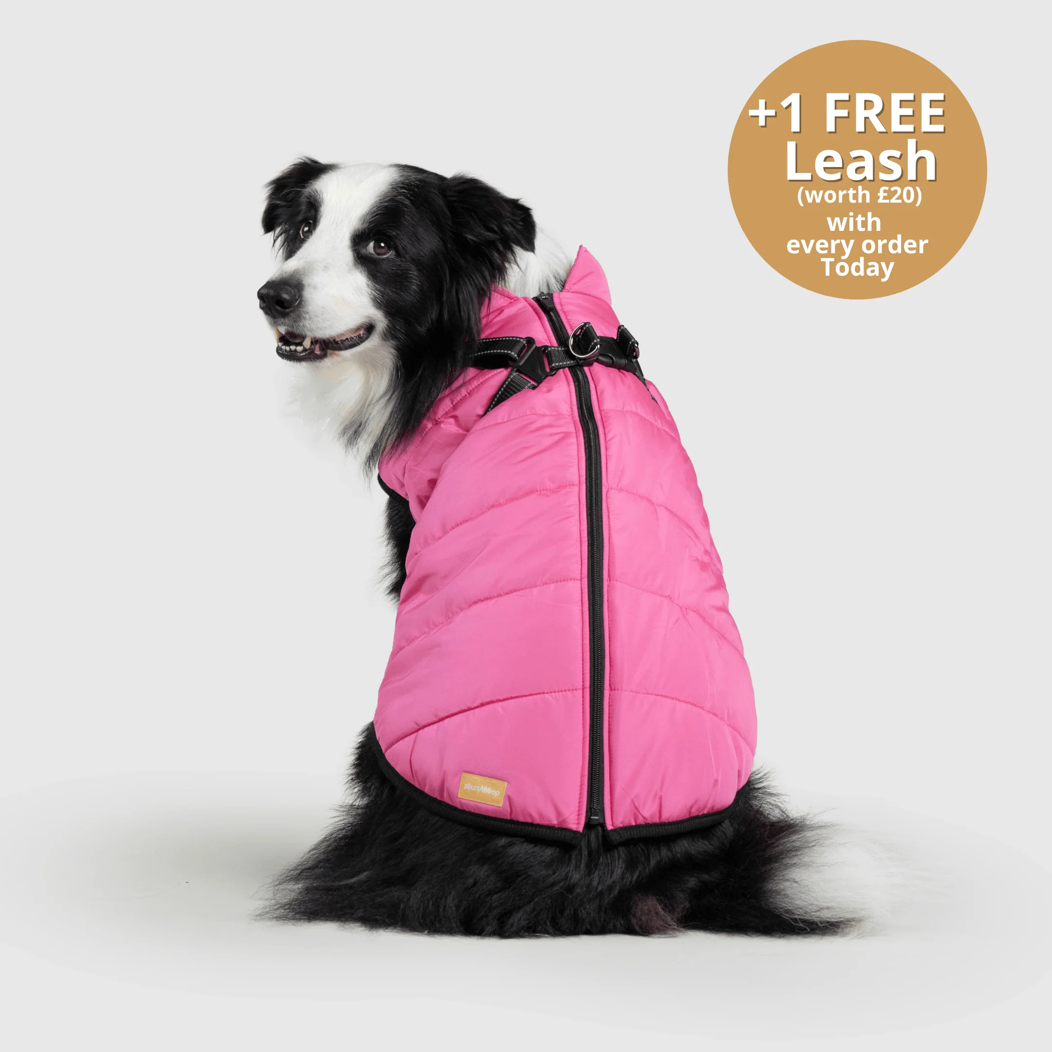 DoggyKings™ 3 in 1 Jacket - Image 20