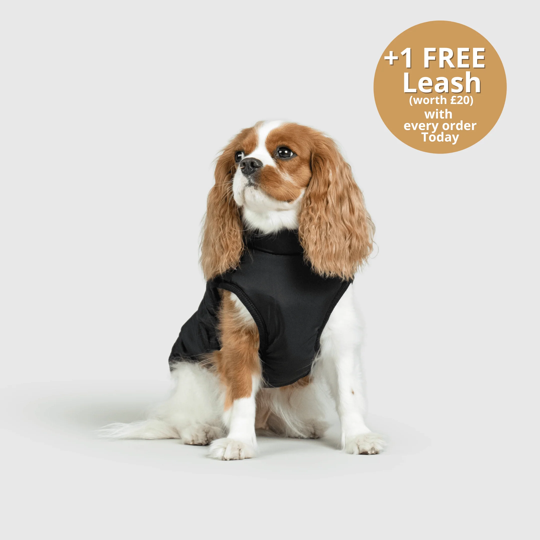 DoggyKings™ 3 in 1 Jacket - Image 21