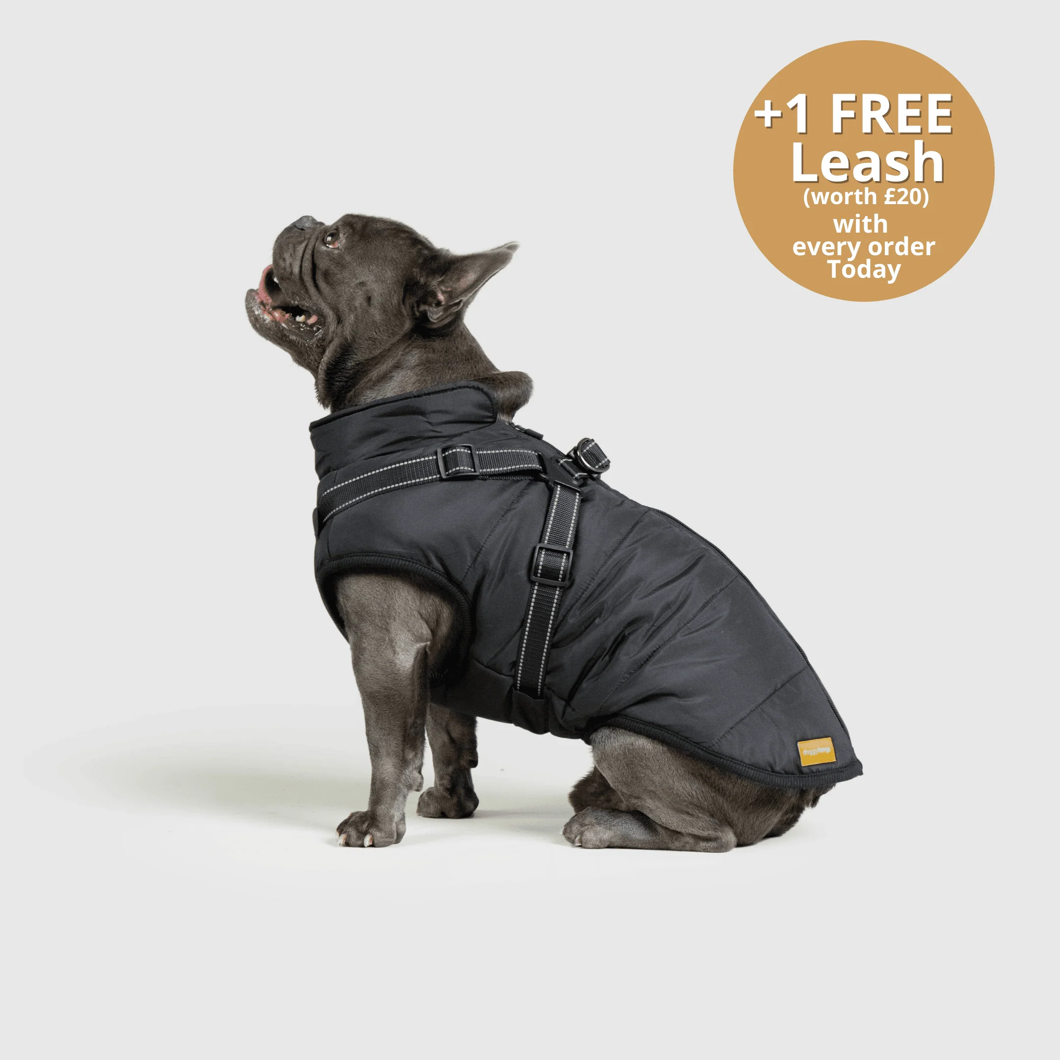 DoggyKings™ 3 in 1 Jacket - Image 22