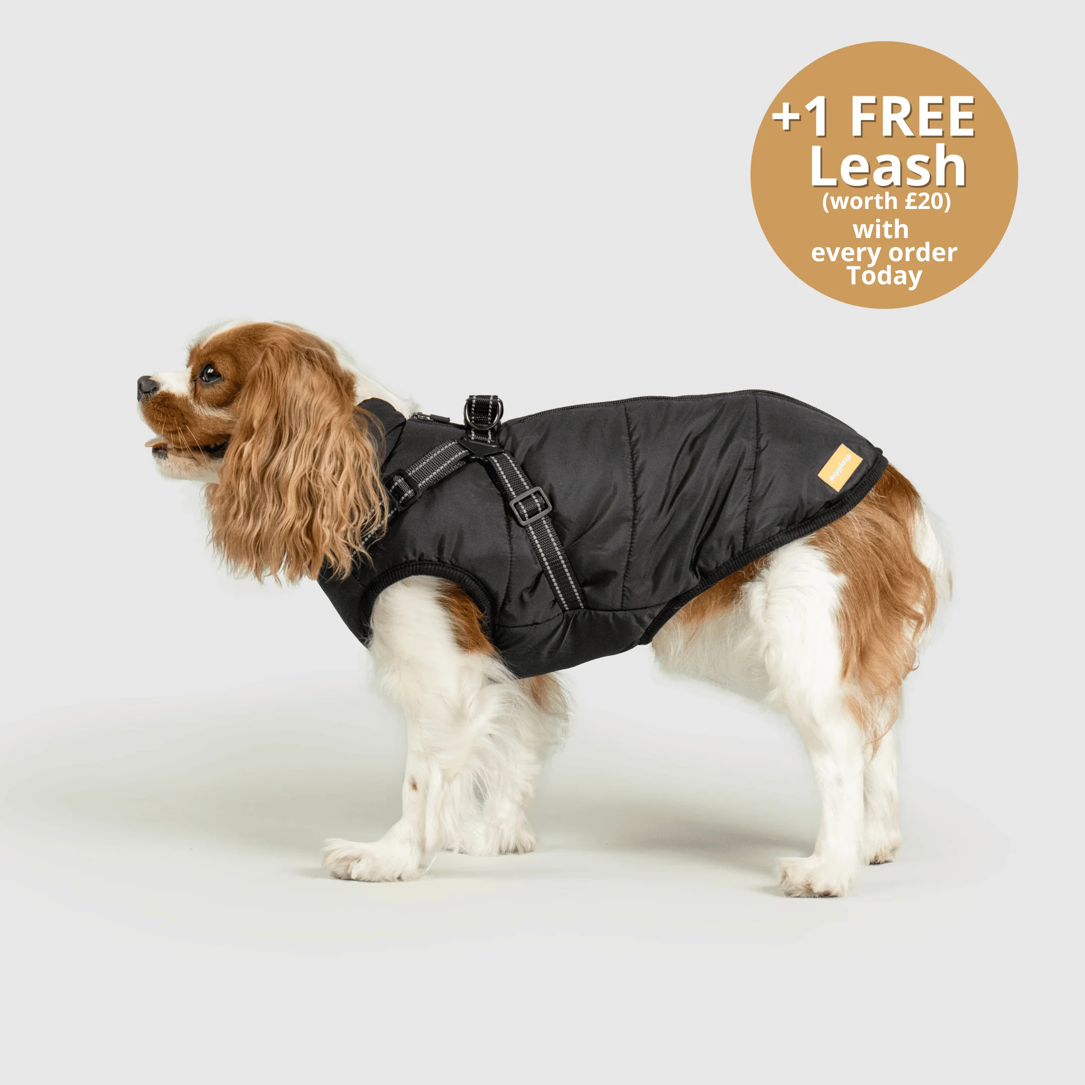DoggyKings™ 3 in 1 Jacket - Image 23