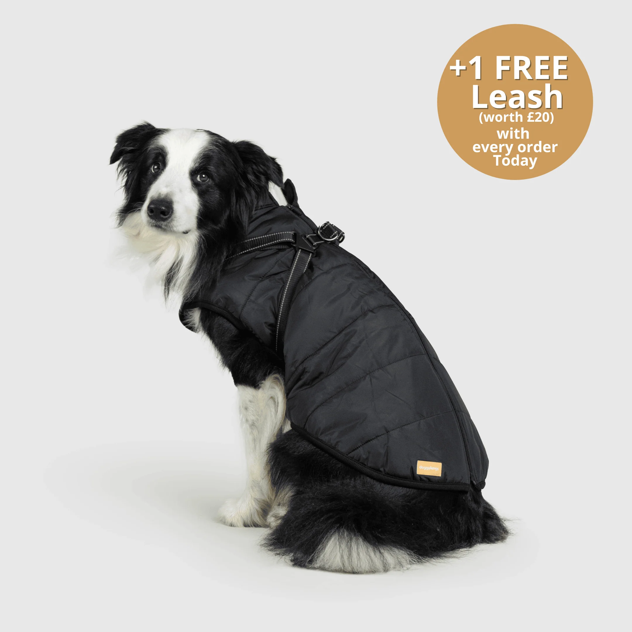 DoggyKings™ 3 in 1 Jacket - Image 24