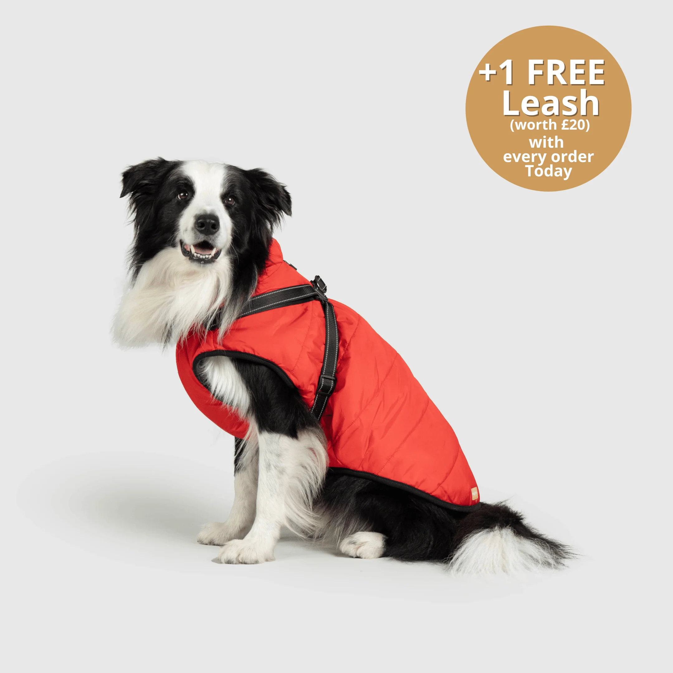DoggyKings™ 3 in 1 Jacket - Image 4