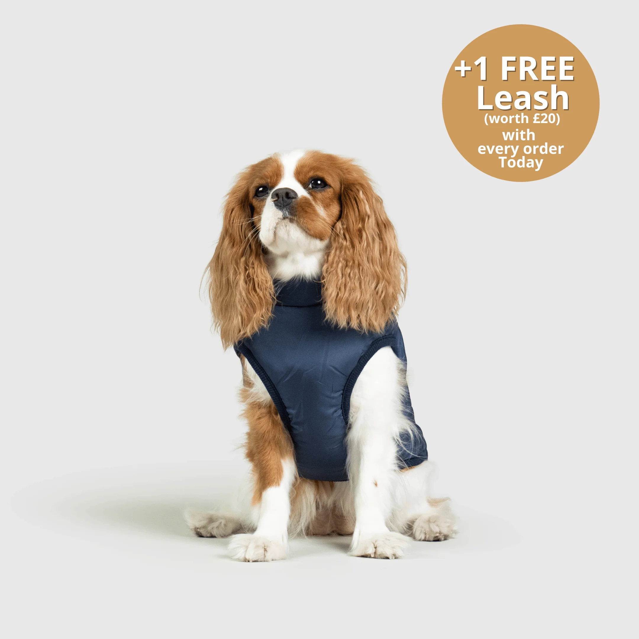 DoggyKings™ 3 in 1 Jacket - Image 5