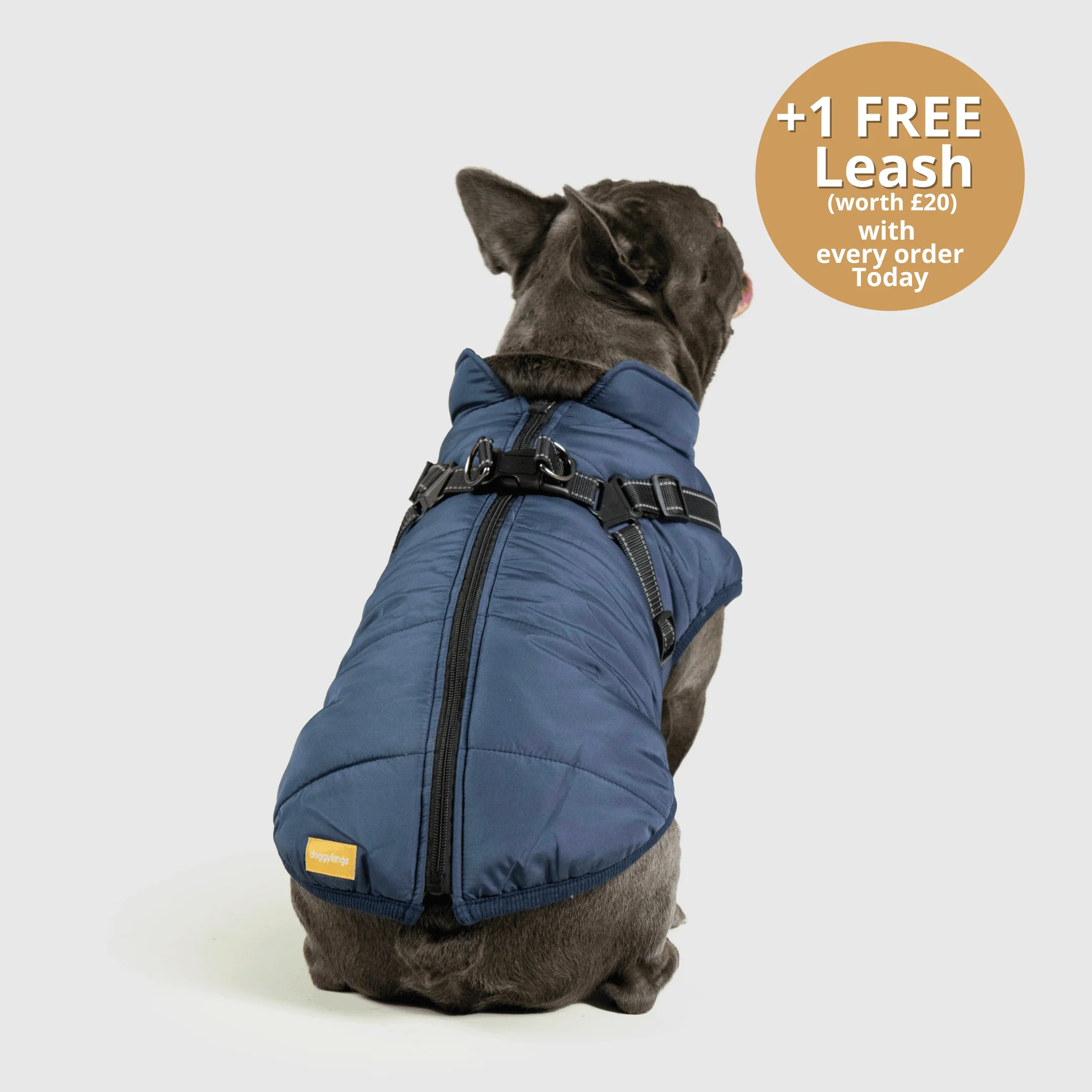 DoggyKings™ 3 in 1 Jacket - Image 6