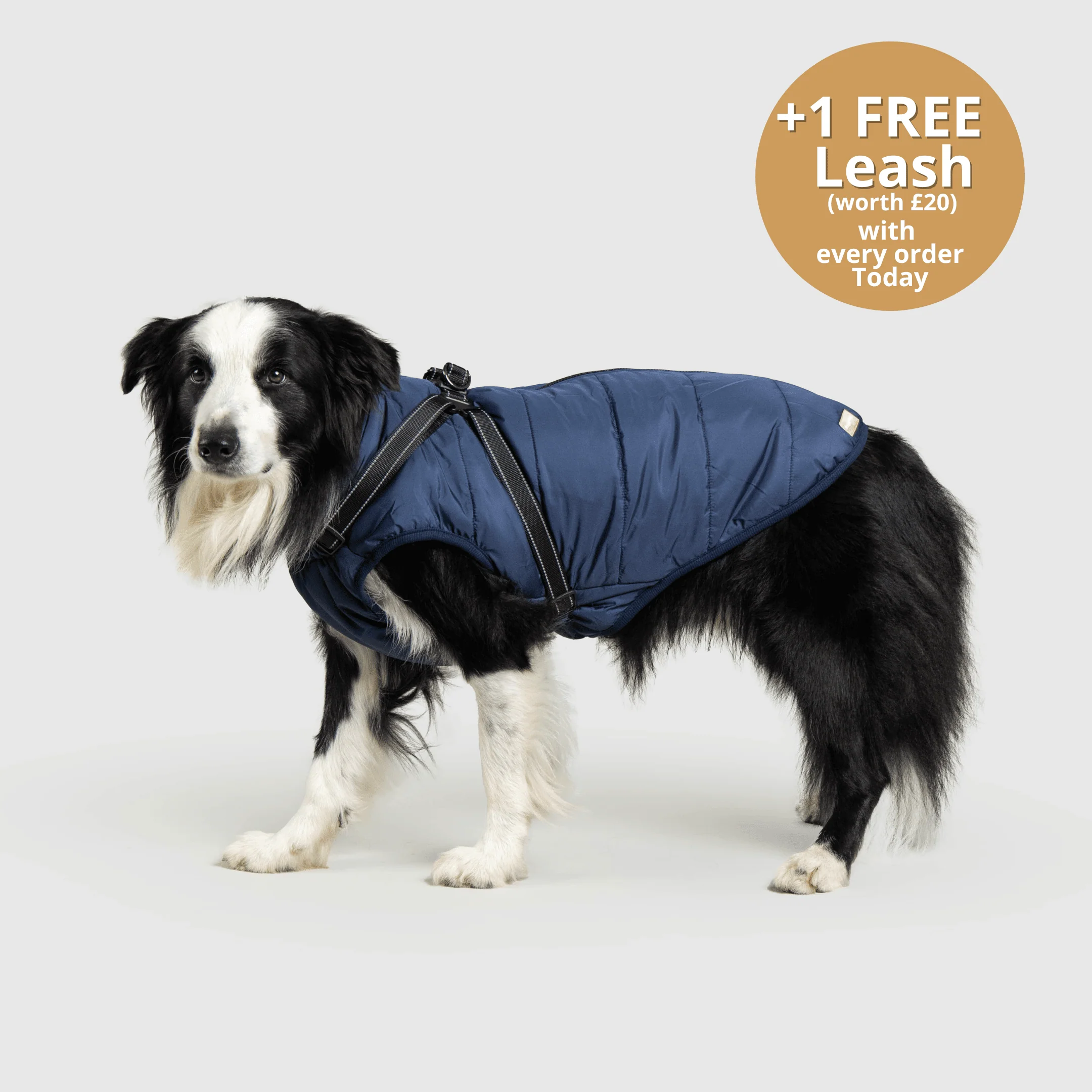 DoggyKings™ 3 in 1 Jacket - Image 7