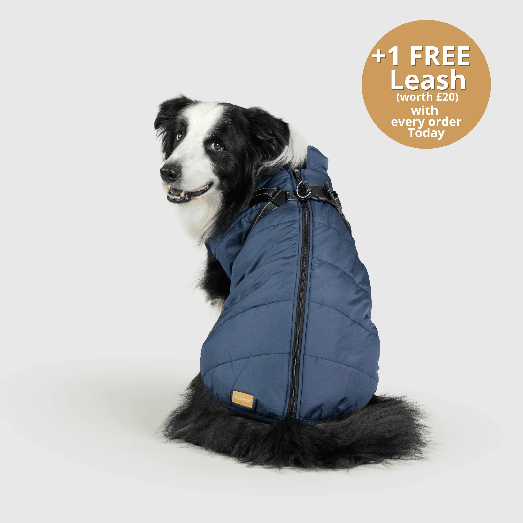 DoggyKings™ 3 in 1 Jacket - Image 8