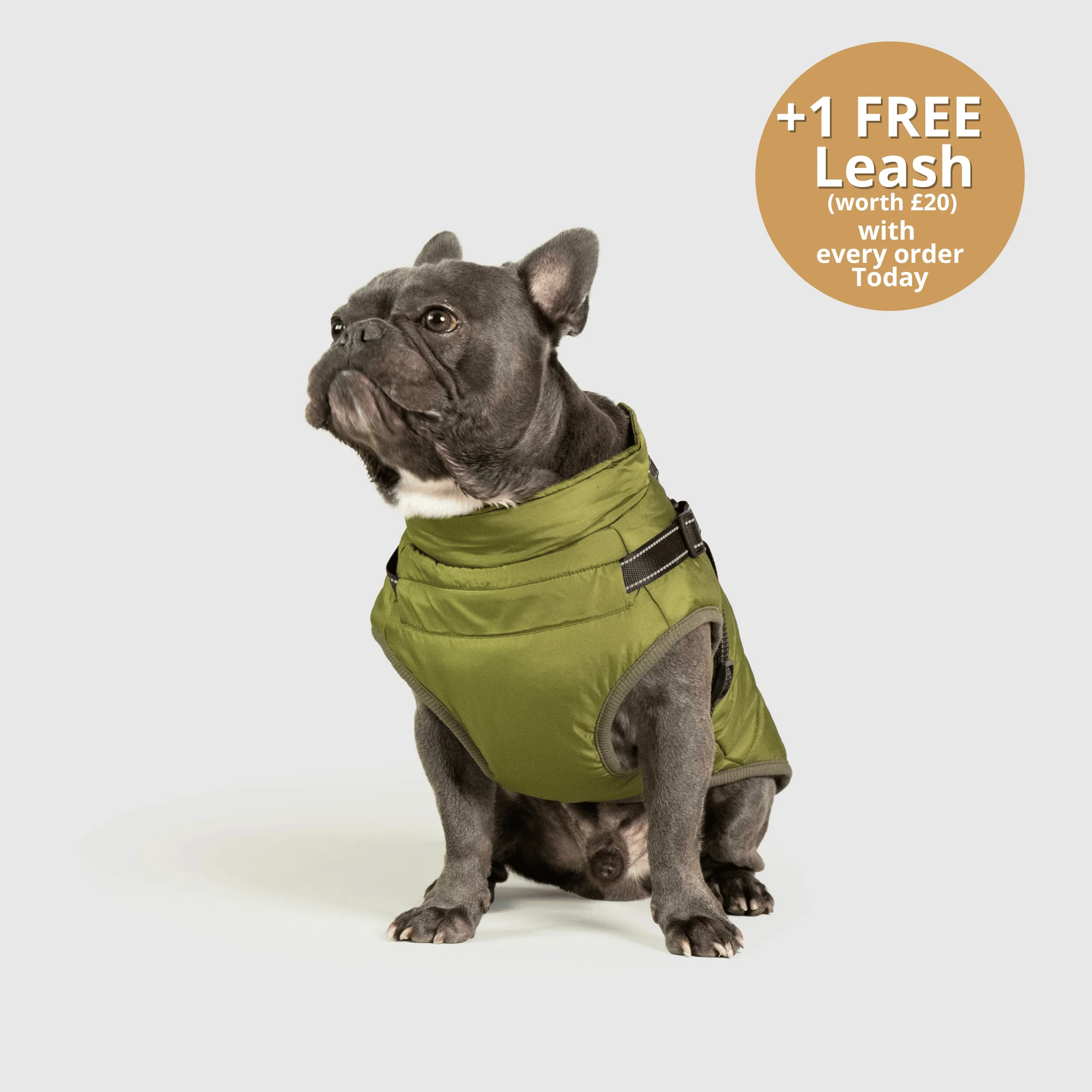 DoggyKings™ 3 in 1 Jacket - Image 9