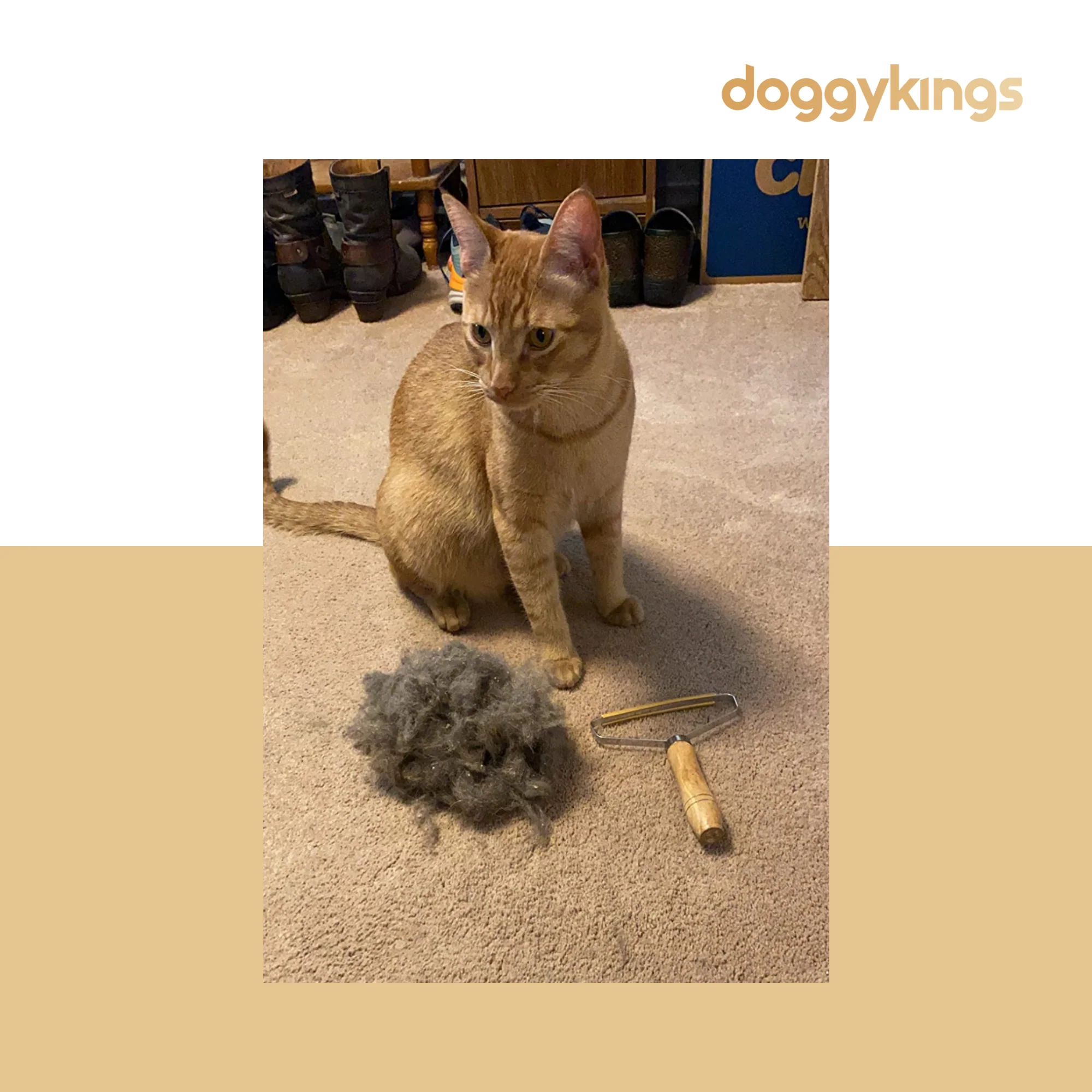 Doggykings Pet Hair Remover™ - Image 4