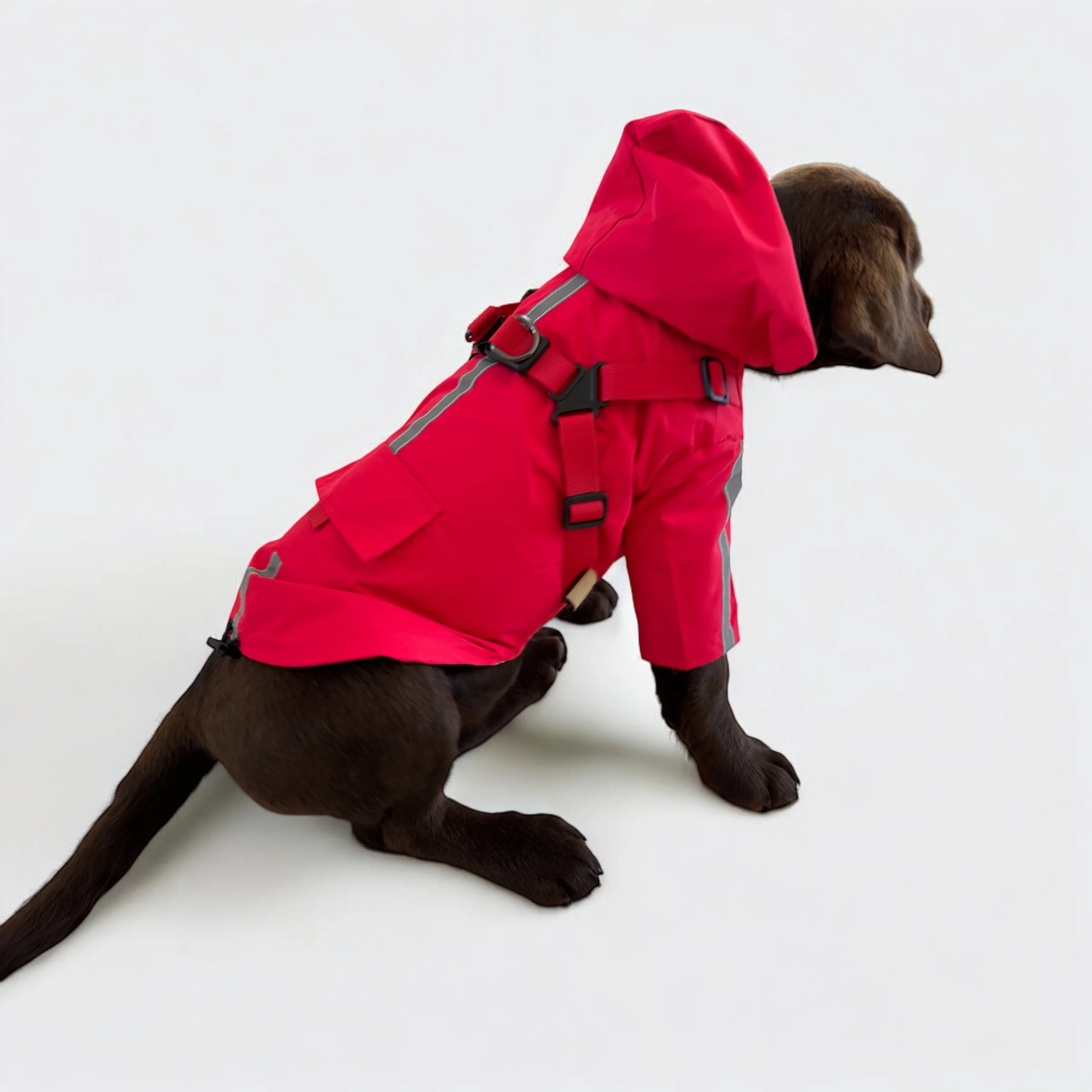 DoggyKings™ 3 in 1 Rain Coat - Image 10