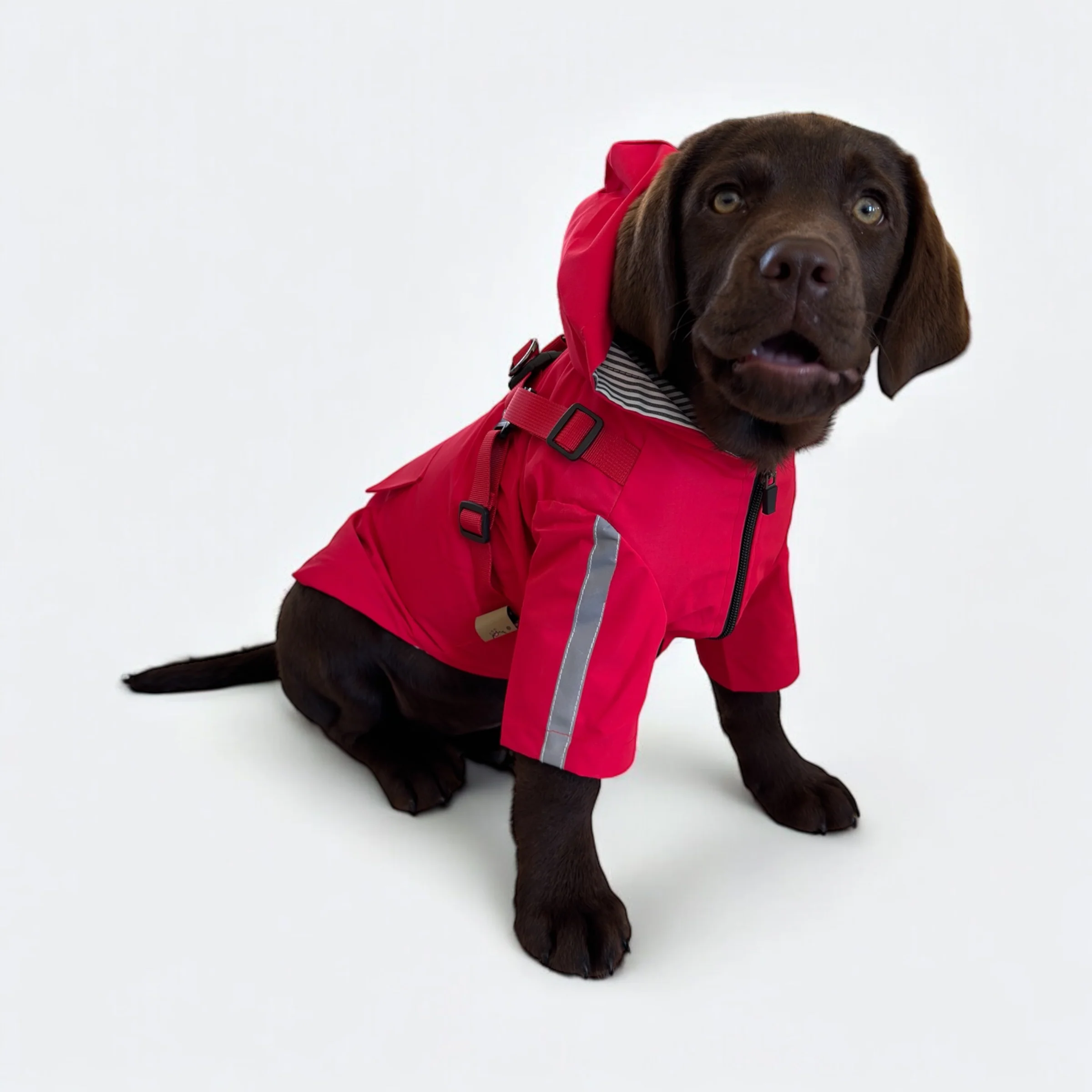 DoggyKings™ 3 in 1 Rain Coat - Image 11