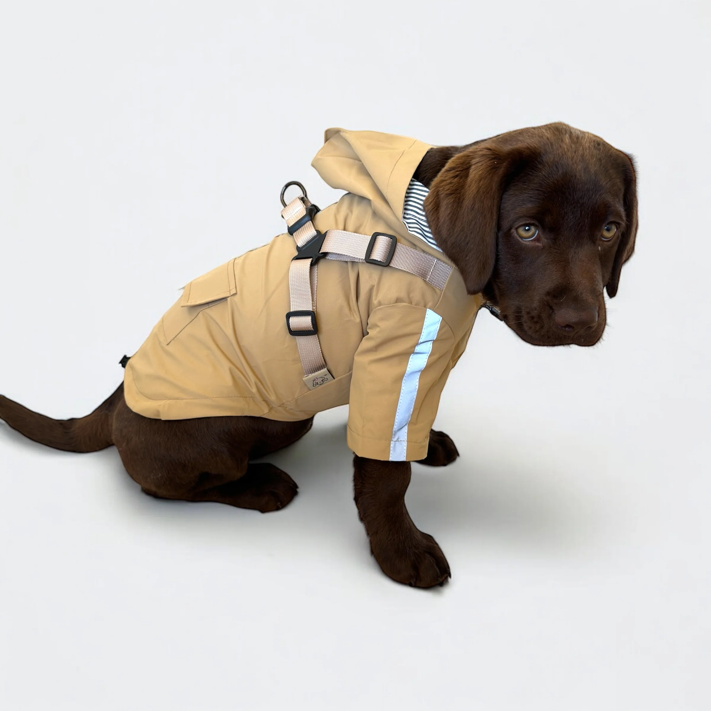 DoggyKings™ 3 in 1 Rain Coat - Image 12