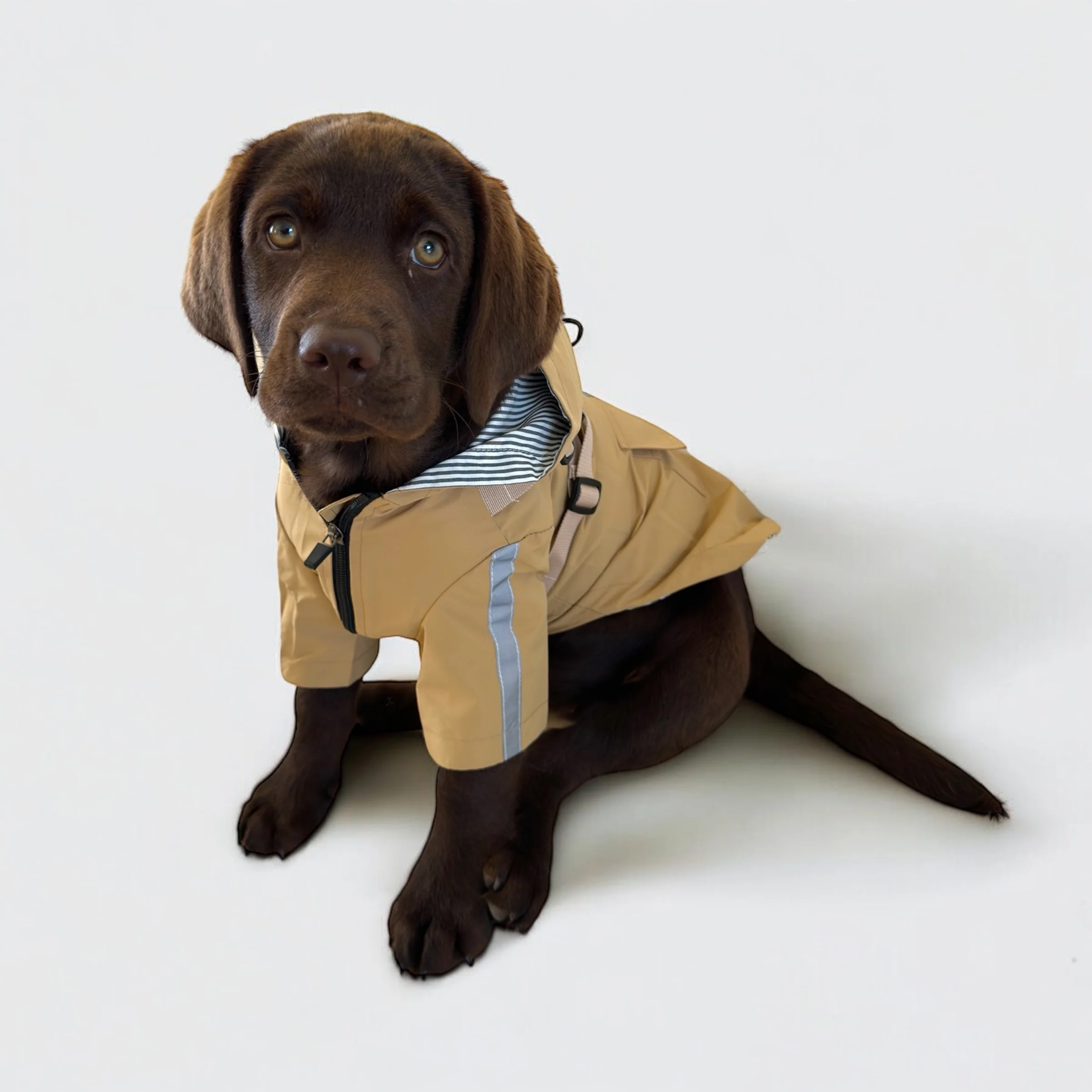 DoggyKings™ 3 in 1 Rain Coat - Image 13