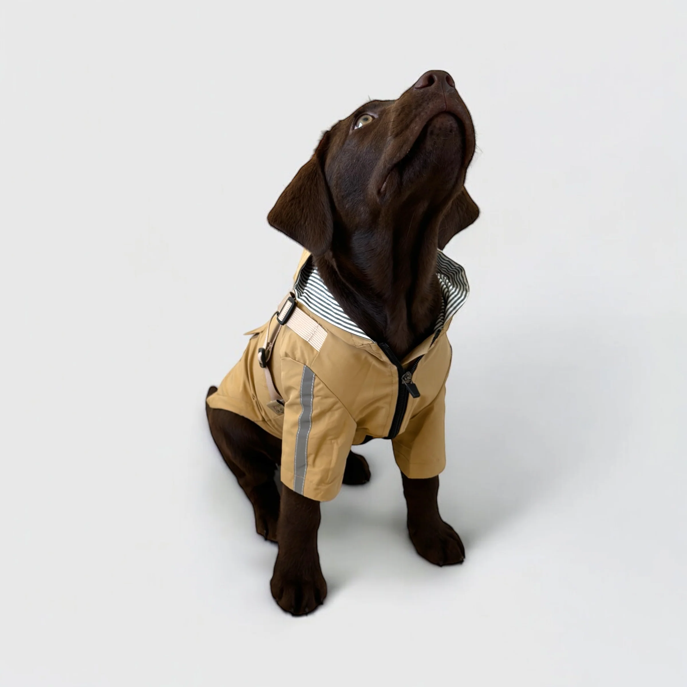 DoggyKings™ 3 in 1 Rain Coat - Image 14