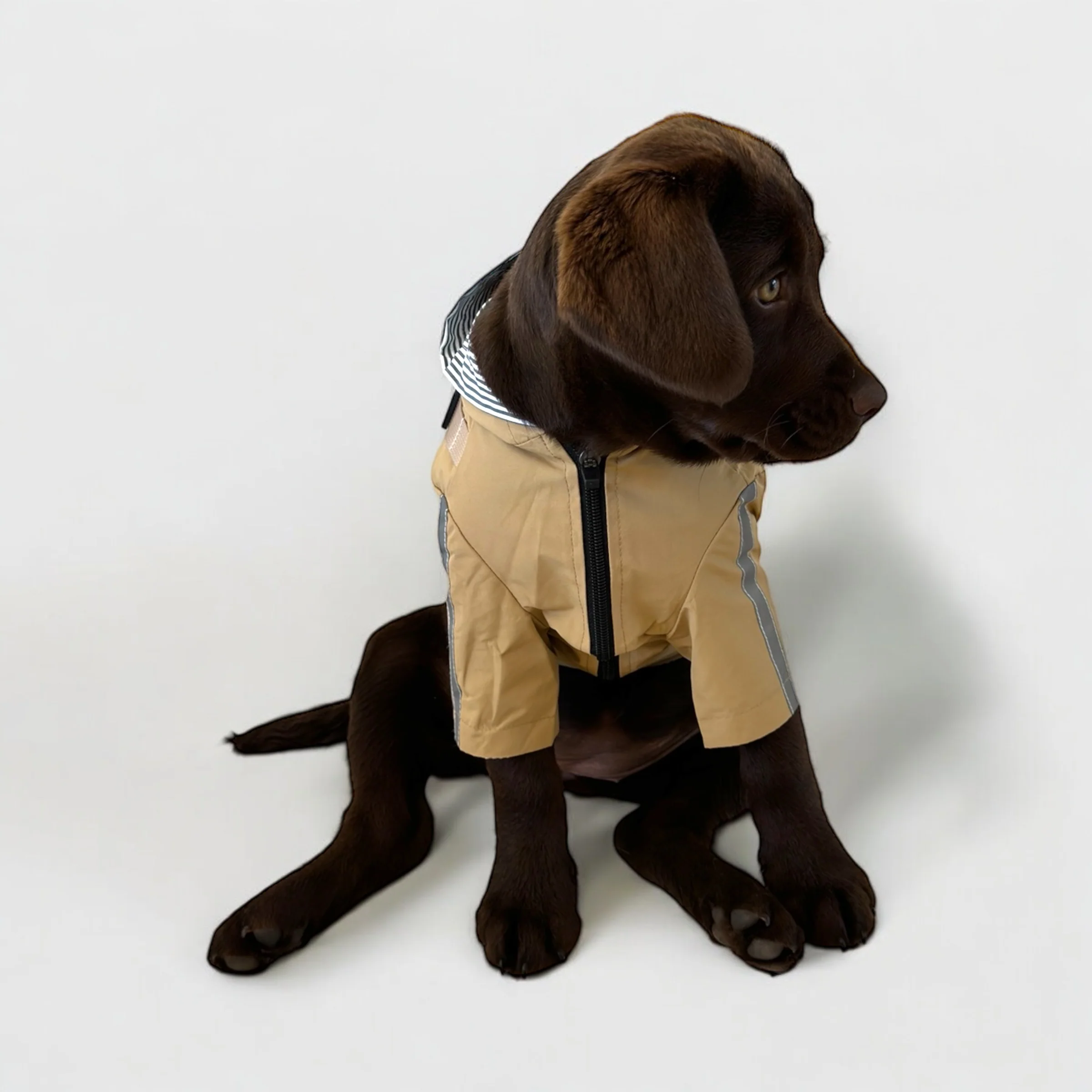 DoggyKings™ 3 in 1 Rain Coat - Image 15