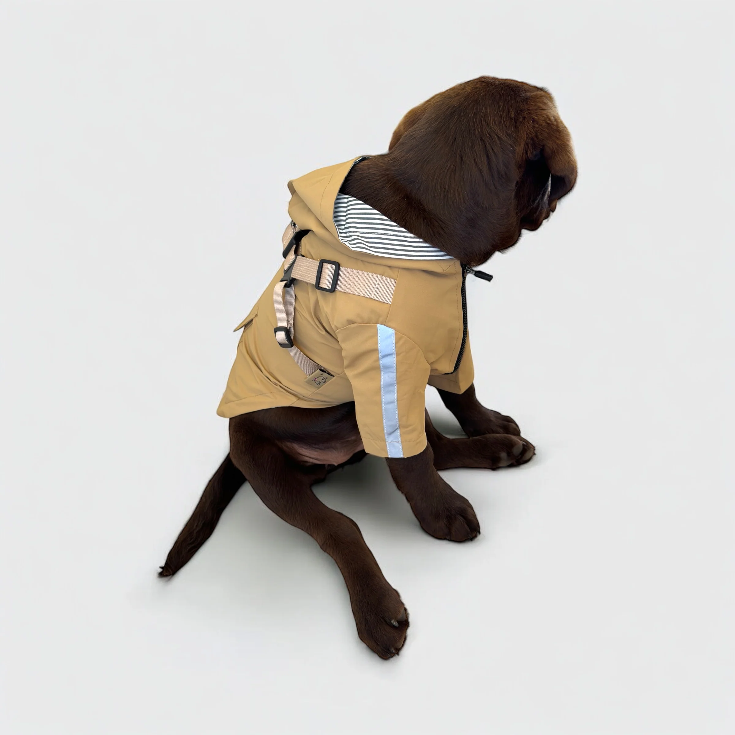 DoggyKings™ 3 in 1 Rain Coat - Image 16