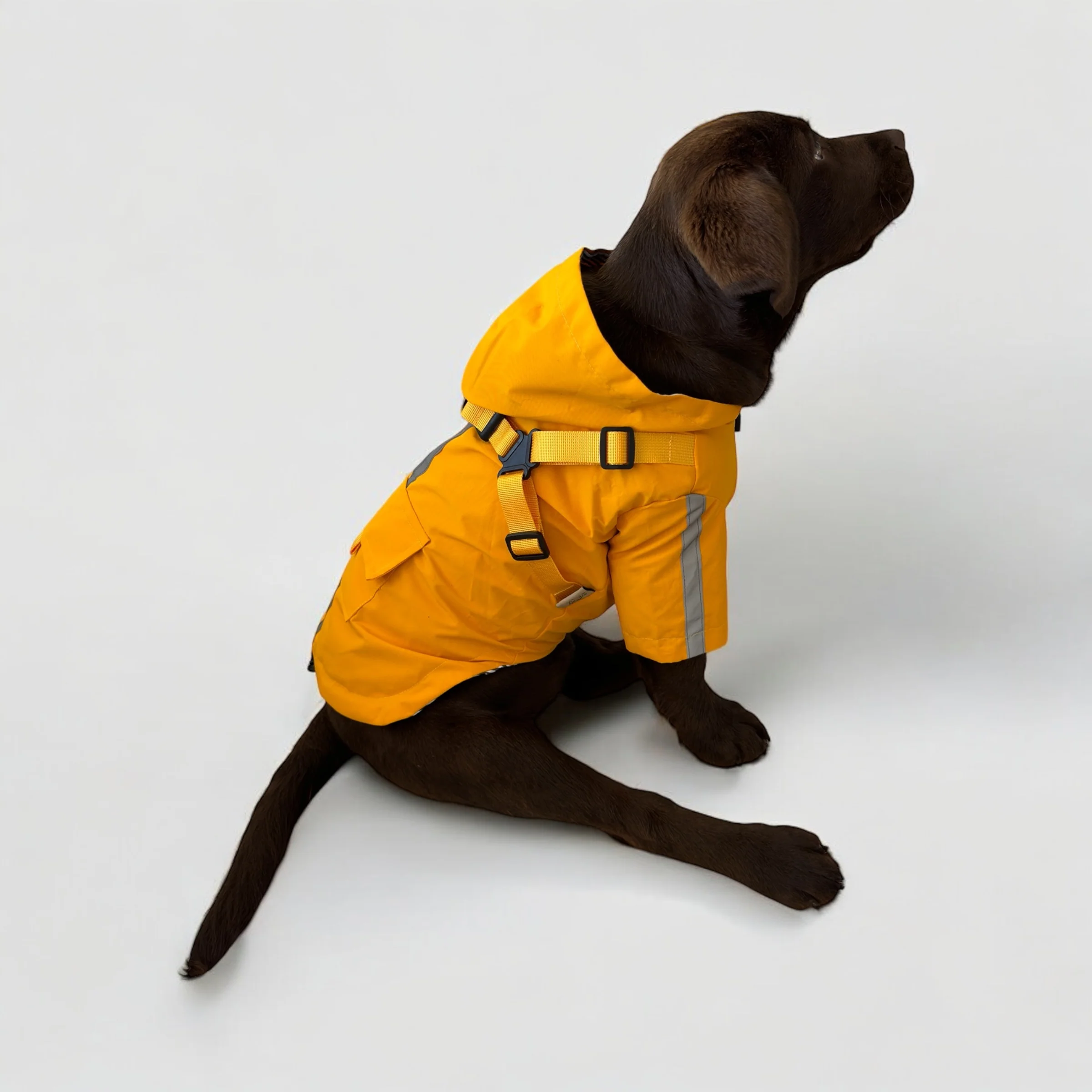 DoggyKings™ 3 in 1 Rain Coat - Image 3