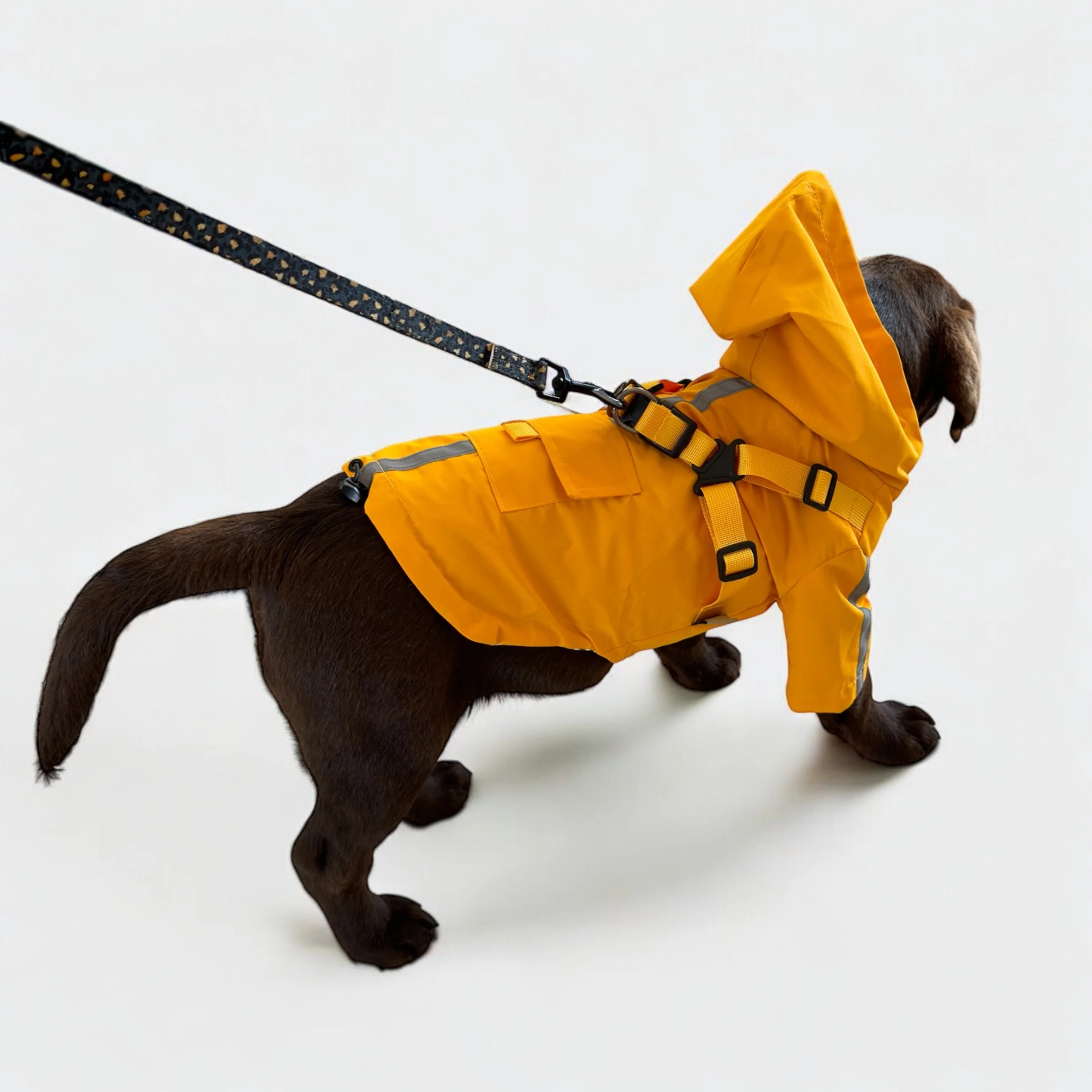 DoggyKings™ 3 in 1 Rain Coat - Image 5