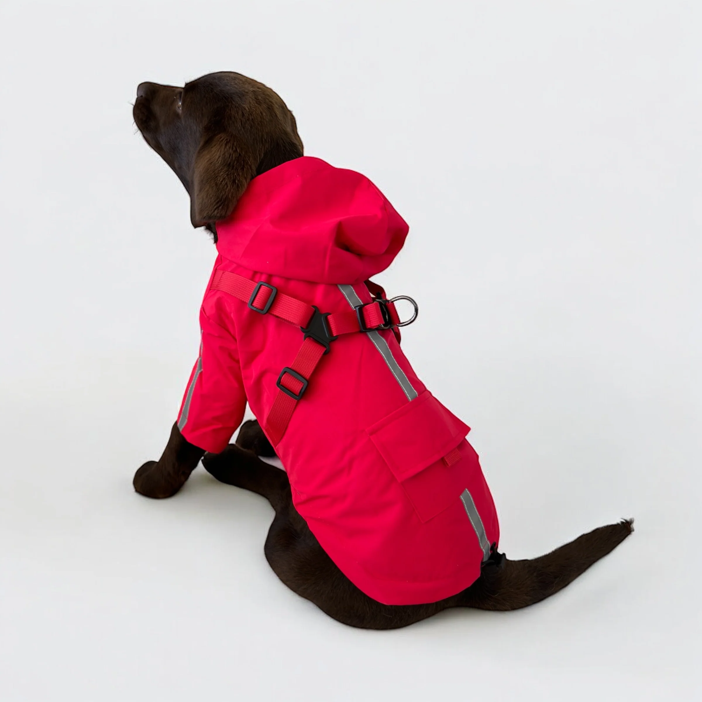 DoggyKings™ 3 in 1 Rain Coat - Image 6