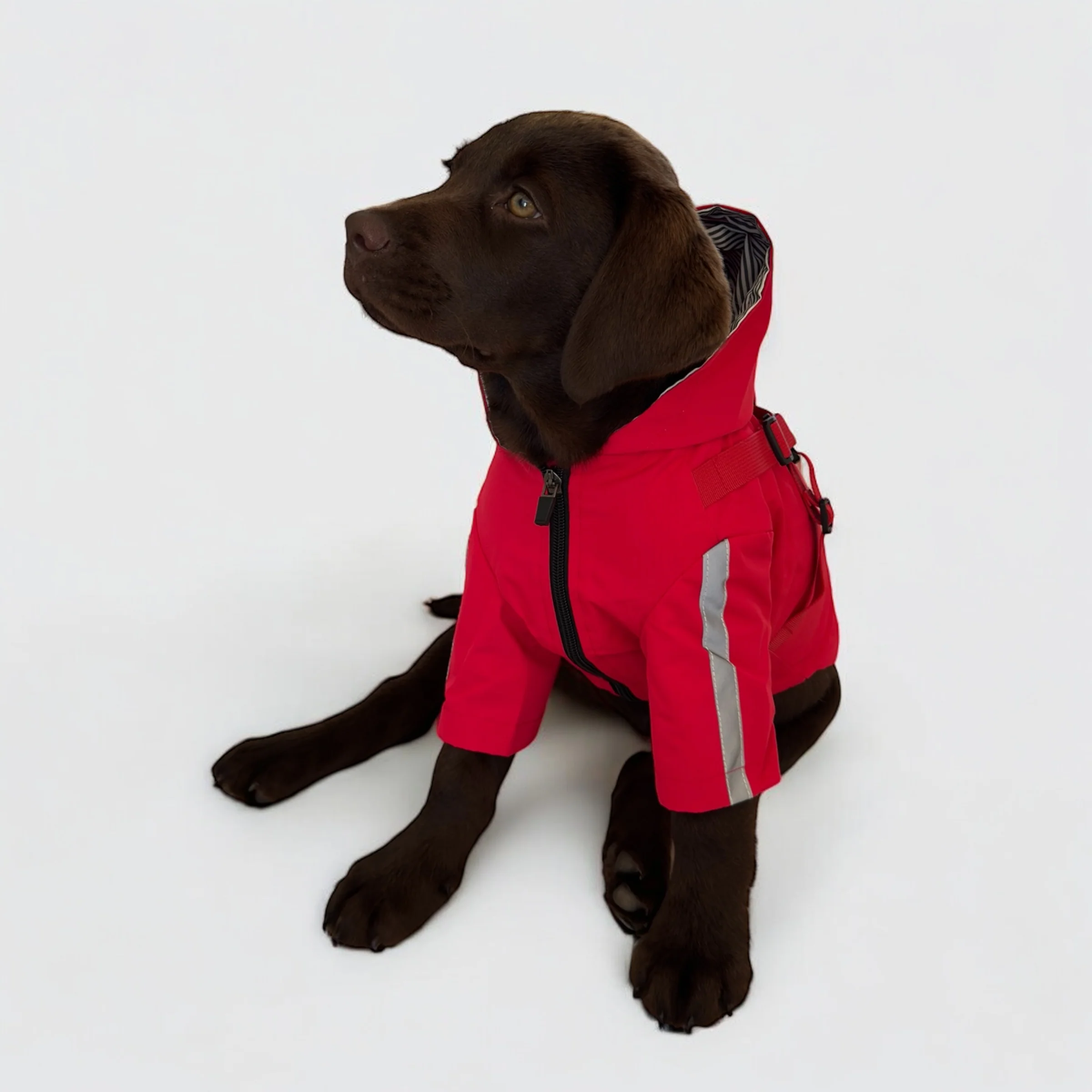 DoggyKings™ 3 in 1 Rain Coat - Image 7