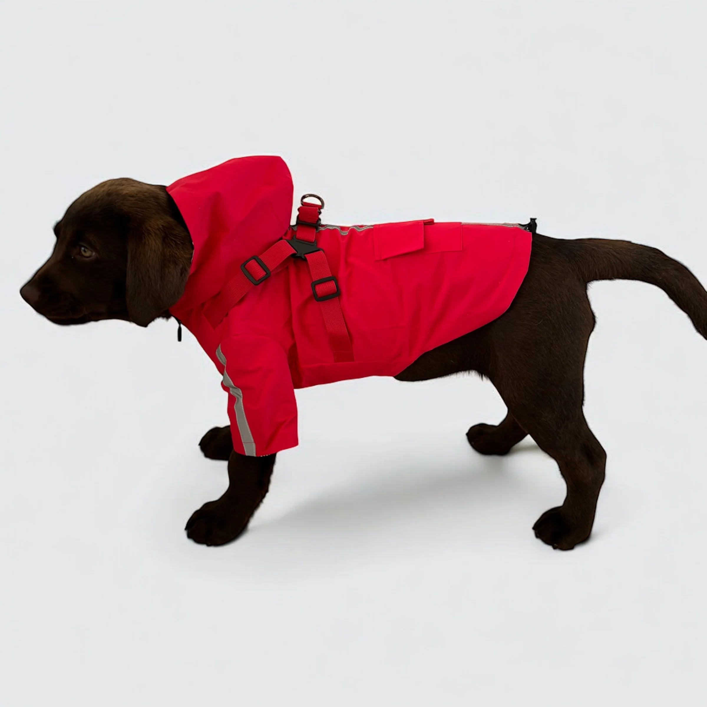 DoggyKings™ 3 in 1 Rain Coat - Image 8